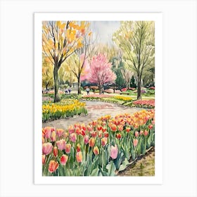 Tulips In Bloom 9 Art Print