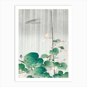 Begonia In The Rain (1930 1945), Ohara Koson Art Print