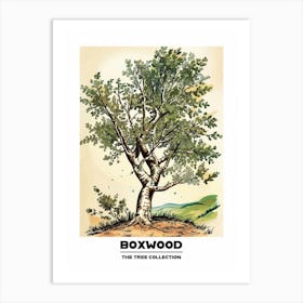 Boxwood Tree Storybook Illustration 3 Poster Art Print