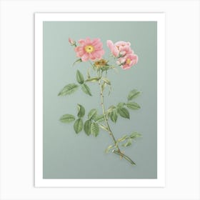 Vintage Lady Monson Rose Bloom Botanical Art on Mint Green n.0699 Art Print