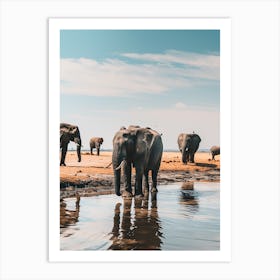 Herd Of Elephants At The Waterhole Art Print