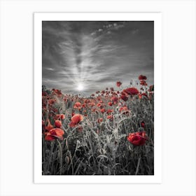 Lovely Sunset In A Poppy Field Art Print