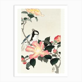Great Tit On Branch With Pink Flowers (1900 1930), Ohara Koson Art Print