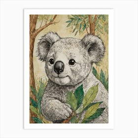 Koala Bear Art Print