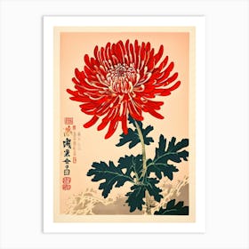 Chrysanthemum 16 Art Print