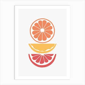 Orange Slices 5 Art Print