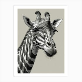 Giraffe 16 Art Print