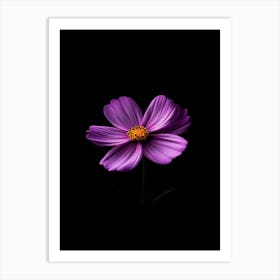 Purple Flower On Black Background Art Print