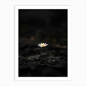 Single Flower In Water 18 Art Print