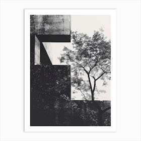 Tree In A Concrete Building Art Print