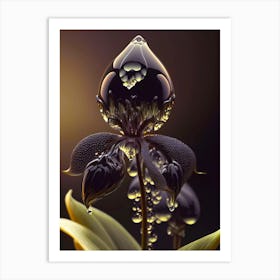 Water Drop On A black orchid Art Print