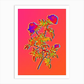 Neon Rose of the Hedges Botanical in Hot Pink and Electric Blue n.0278 Art Print