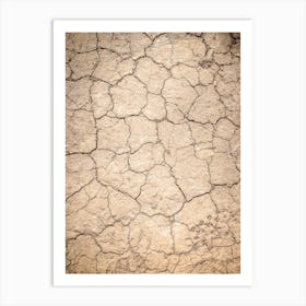 Cracked Dirt Background Art Print