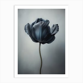 Black Flower 7 Art Print