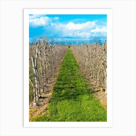 Vineyards 20200301 77ppub Art Print