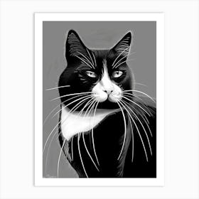 Black And White Cat 9 Art Print