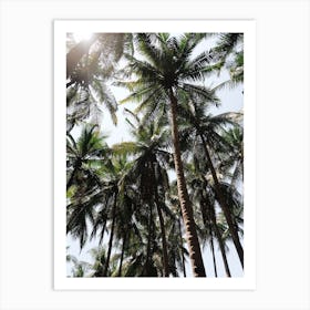 Beneath Bali's Palm Trees Art Print