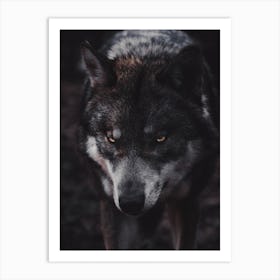 Fierce Wolf Art Print