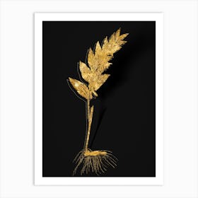 Vintage Angular Solomon's Seal Botanical in Gold on Black n.0440 Art Print