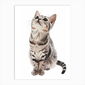 American Shorthair Cat Clipart Illustration 4 Art Print