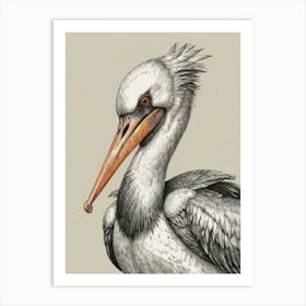 Pelican 14 Art Print