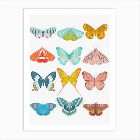 Butterfly Art Print