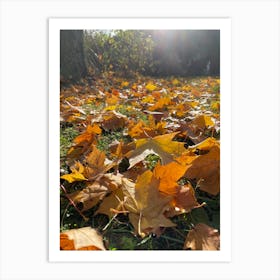 Autumn Leaves On The Ground 3 Art Print