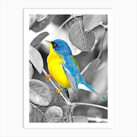 Bird In The Tree (2) Art Print