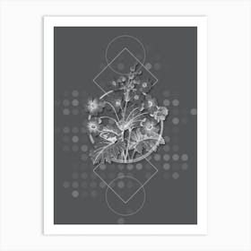 Vintage The Chinese Primrose Botanical with Line Motif and Dot Pattern in Ghost Gray n.0413 Art Print