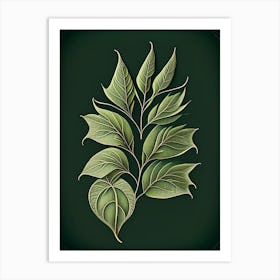 Willow Leaf Vintage Botanical Art Print
