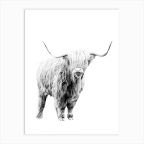 Highland Cow 4 Art Print