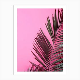 Pink Background With Palm Leaves Art Print