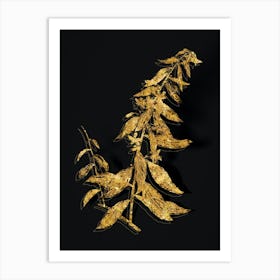 Vintage Goji Berry Tree Botanical in Gold on Black n.0344 Art Print