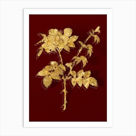 Vintage White Flowered Rose Botanical in Gold on Red n.0242 Art Print