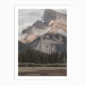 Elk In Mountain Valley Art Print