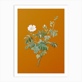 Vintage White Downy Rose Botanical on Sunset Orange n.0665 Art Print