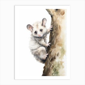 Light Watercolor Painting Of A Climbing Possum 1 Art Print