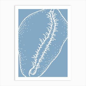 Blue And Cream Seashell Art Print