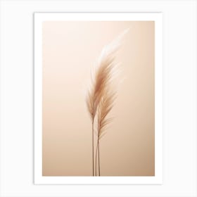 Pampas grass Art Print