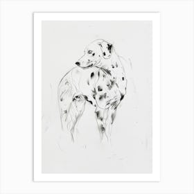 Dalmation Dog Charcoal Line 1 Art Print