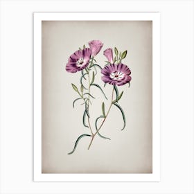 Vintage Large Purple Chilian Evening Primrose Botanical on Parchment n.0337 Art Print