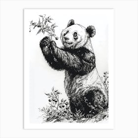 Giant Panda Standing And Reaching For Berries Ink Illustration 4 Art Print