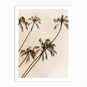 Palm Trees In Sepia Art Print