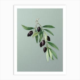 Vintage Olive Tree Branch Botanical Art on Mint Green n.0147 Art Print