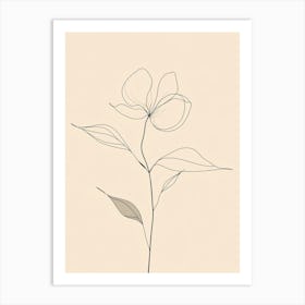 Line Drawing Of A Flower 4 Art Print