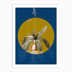 Vintage Botanical Scilla Lilio Hyacinthus on Circle Yellow on Blue n.0199 Art Print