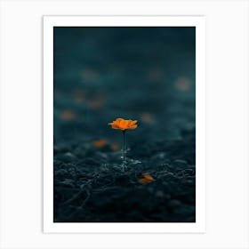 Single Flower In The Dark 67 Art Print