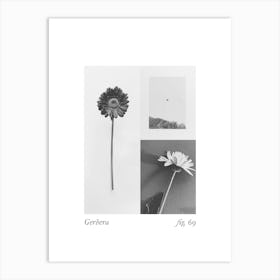 Gerbera Botanical Collage 3 Art Print