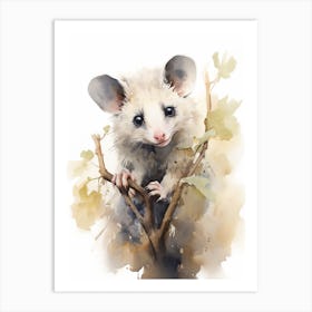 Light Watercolor Painting Of A Nocturnal Possum 1 Art Print