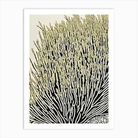Acropora Humilis Ii Linocut Art Print
